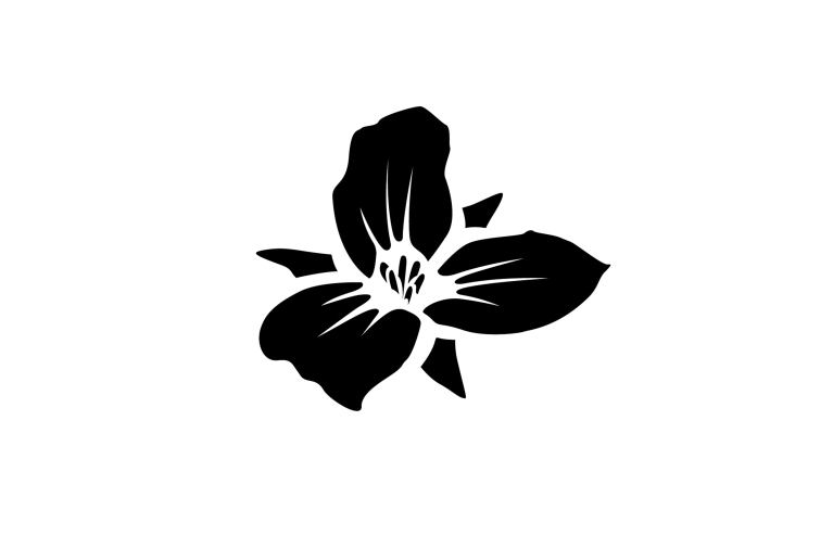 black flower logo web 768x505