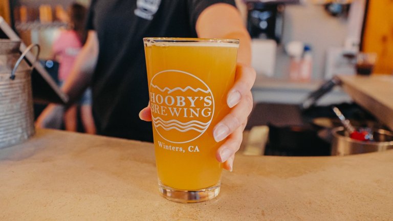 1761346568275 mr03kew3 hoobys brewing festival 768x432