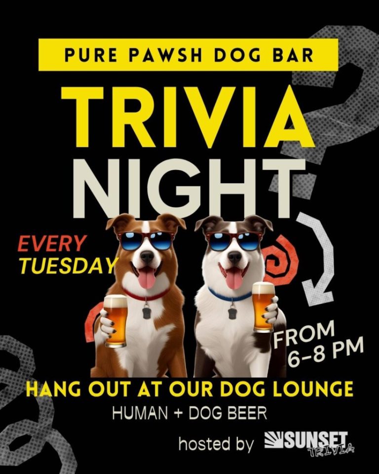 1762221120446 kzzgmy8u PurePawsh Trivia San Diego 1 768x960