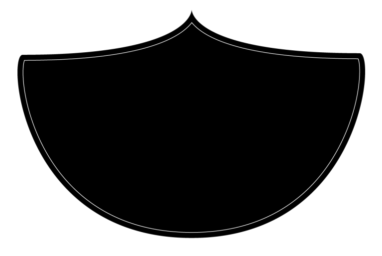 Alluvial shield only stroke web 3 768x514