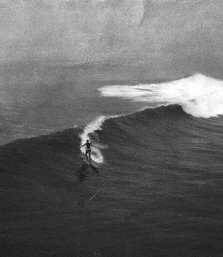 switchboard sm 768x886