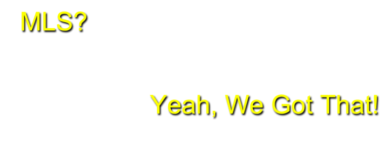 Bleachers Overlay 6 768x299