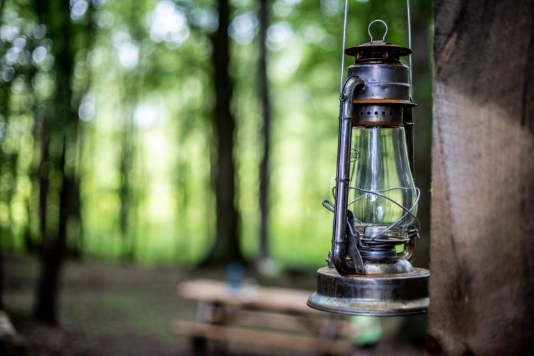 PATP 062820 18 scaled 2048x1366 1 768x512