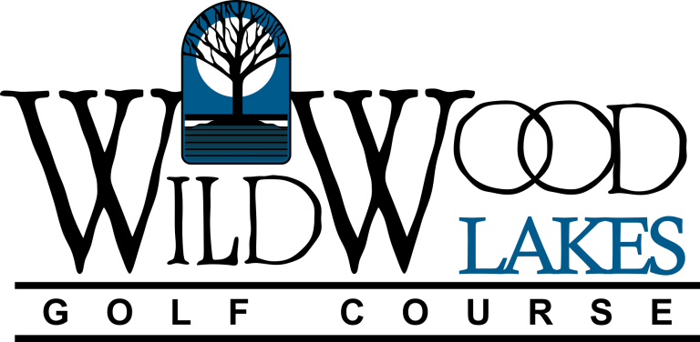 Transparent2 768x376