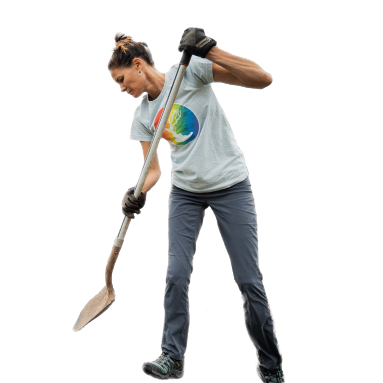 Tree Planting 1 768x768