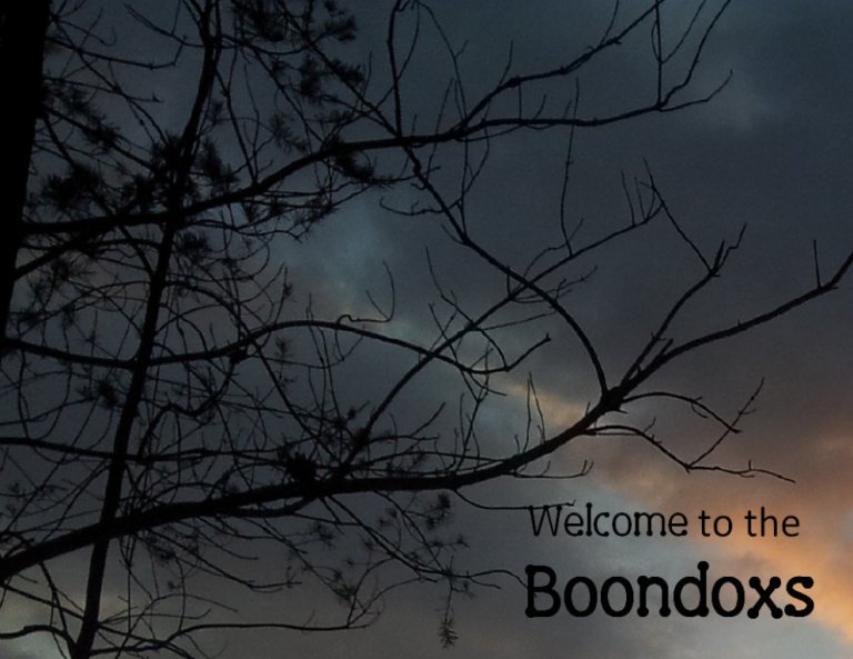 boondox   landing001001 768x593