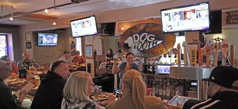dogtooth1 768x351