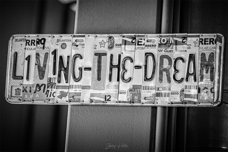 licenseplate 1024x683 1 768x512