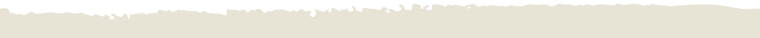rough top 1 768x38