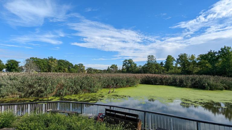 signal 2022 09 06 180126 008 768x432