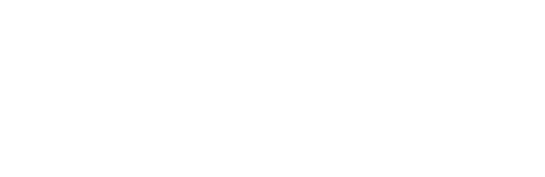 vagavector 768x249