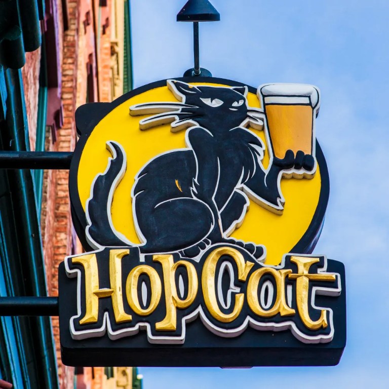66196c37eafedccf2f3bc534 HopCat Photos aa3 1 768x768