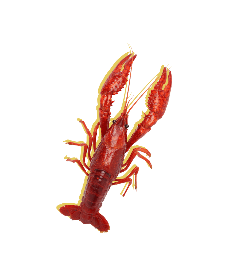 Crawfish 768x908