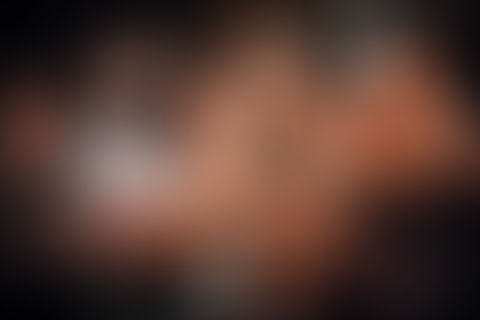 c837a6 23663919259b482ca99d0ce9bef730demv2