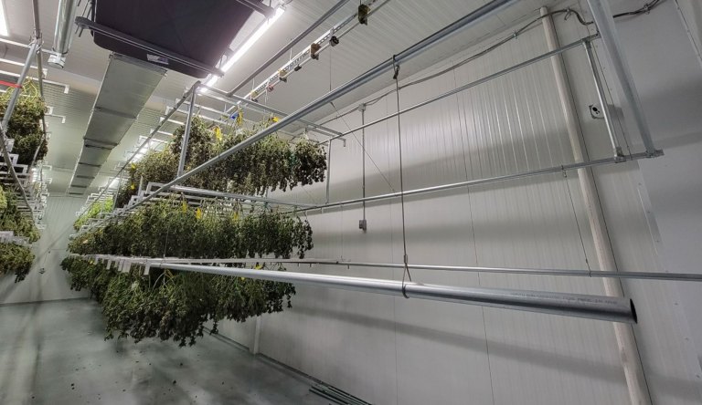 lift and grow drying lifts 768x444