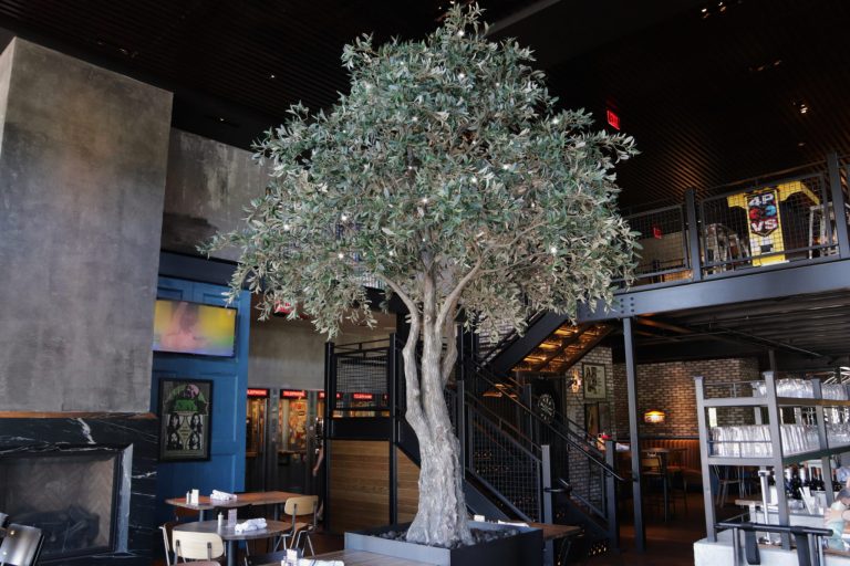 w olive tree beer restaurant taphouse north shore 1 2048x1366 1 768x512