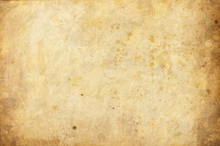 1302754 768x512