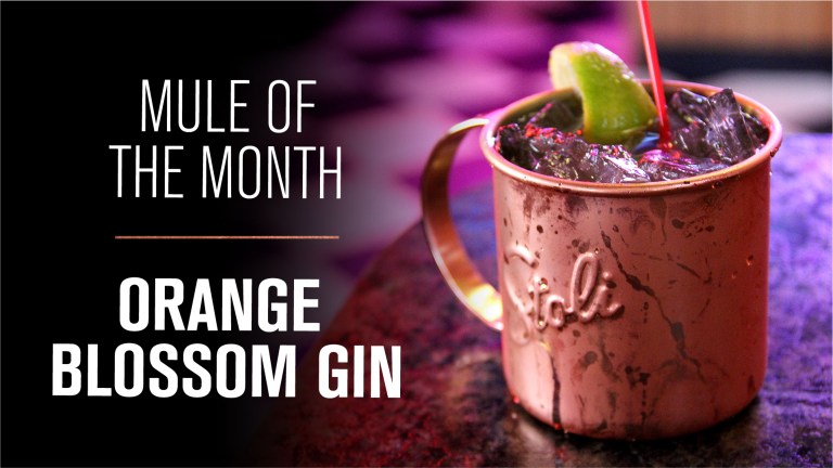 April 26Mule of the Month 100 768x432