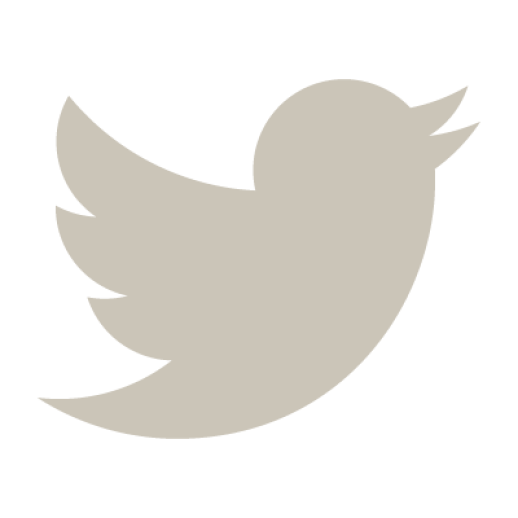 64593ea5590e5f476e62acd8 twitter light