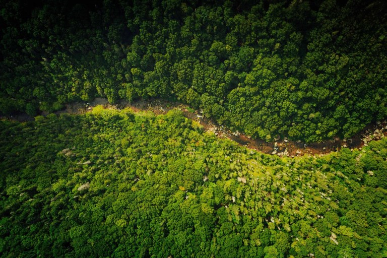 Eno River Brewing RiverPhoto 768x512