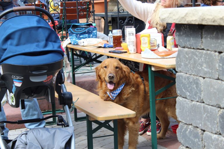 IMG 2368 scaled 1 768x512