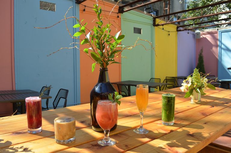 DSC 0338 JPG 768x508